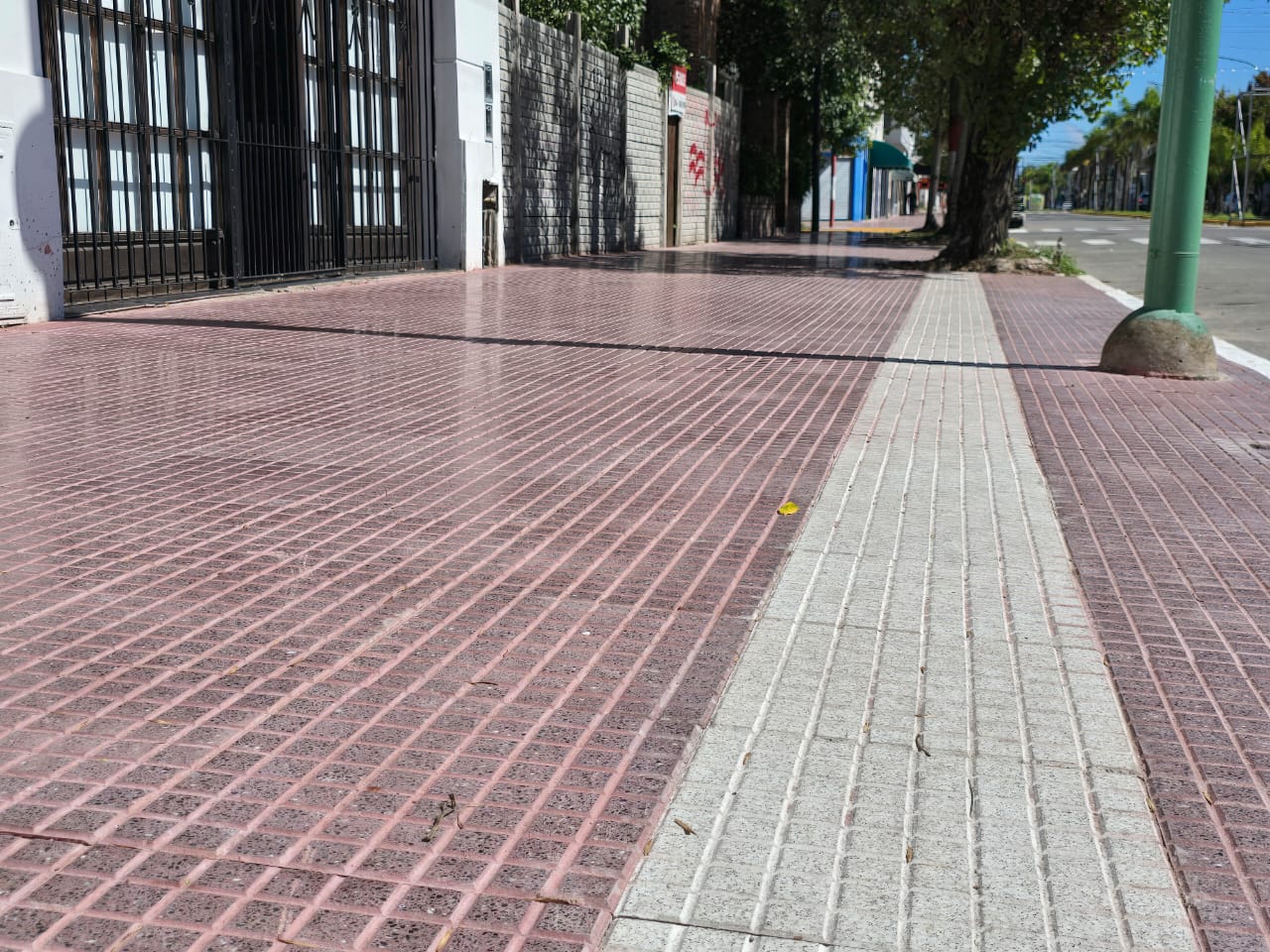 Vereda